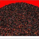 머루네건강원 이미지