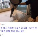 입주청소 오물투척 사건 파이널 (아마도) 이미지