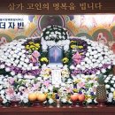 성서호호요양병원