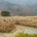 산양보건지소 이미지