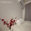써니호텔 | 수원시 팔달구 호텔 스테이써니 접근성 OTT 후기