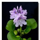 좋은날들 이미지