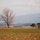 안성목장 이미지