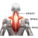노바(NOVA GYM) 이미지