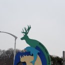 닭방 Daum카페