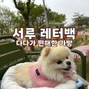 서루 | 강아지 이동가방 추천 | 서루 레터백 실제 사용 후기