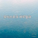 유비스포 네이버블로그