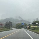 명당1길 | [경기, 양평]다문188캠핑장(C-5 후기, 시설깨끗한 신상캠핑장 추천, 명당추천)