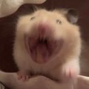 해피스크린골프연습장 이미지