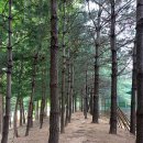 산마루어린이공원 이미지