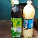 복만농장 이미지