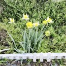 수선화모텔 이미지