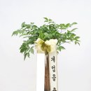 HAPPY TREE(해피트리) 이미지