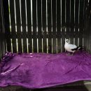 경남야생동물구조센터 이미지