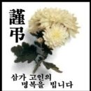 다시중학교