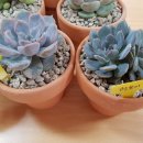 샘뜰목장 이미지