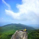 부산 금정산(87/100): 801.5(6.15.) 이미지