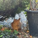 모야의숲 캠핑장 | [남해]버드하우스 가을캠핑_후박4 사이트