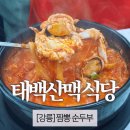 태백가든 | 태백산맥식당 | 강릉 짬뽕순두부 맛집 | 동화가든 솔직 비교 | 내돈내산