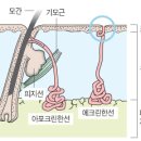 에비타흉부외과의원 이미지