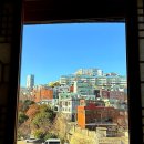 코모도 모텔 | 부산 가성비 호텔 코모도호텔부산 디럭스트윈룸 내돈내산 솔직후기(룸, 수영장)