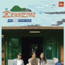 효리네 민박 이미지