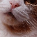 오월의 동물병원 이미지