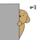 갸카페 네이버블로그