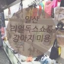 리얼독스쇼룸 | [일산] 리얼독스쇼룸 강아지 미용 + 강아지 눈물 사료, 영양제 후기