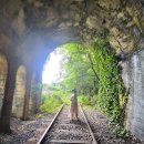 불정역 | 감성여행 문경 불정역 재방문 후기! 사람 없어서 인생샷 찍기 딱이었어요📷