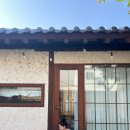 몽몽하나 | [전주 숙소] 전주 애견동반 한옥숙소 ‘라라몽몽’ 솔직후기