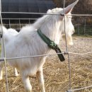 울안농장 이미지