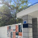 황애견 | · 홍대대형카페 @아벨롭 솔직 후기 + 메뉴 추천, 황치즈 크로플, 홍대 애견동반카페 추천, 베이커리...