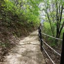 고반대 Daum카페