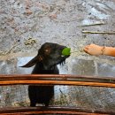 윤진농장 이미지