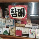 SN박물관 이미지