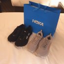 가비오타(GAVIOTA) 이미지