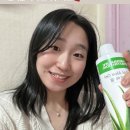 찐찐라이프