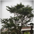 통나무풍경펜션 이미지