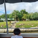 월드게임랜드 | [🇻🇳베트남] 다낭호이안 6박7일 _ 3일차 :: 벨마리나호이안 / 빈원더스 남호이안 / 포마이 / 센텔라스파