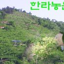 한라농장 이미지