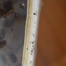 박달시장_상 이미지