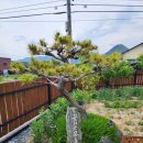 꽃피는 유포리 이미지