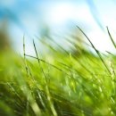 사람휘트니스삼화점 이미지