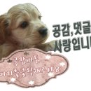 공감 이미지