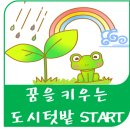 꿈을 키우는 도시 이미지