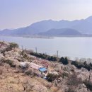 할리스커피 | 양산 원동 순매원 루프탑 카페 추천<할리스커피 원동점>추천 원동딸기 메뉴+방문후기