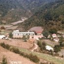 오리초등학교 이미지