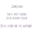 고메샤브 이미지