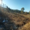 무릉도원면-28 이미지